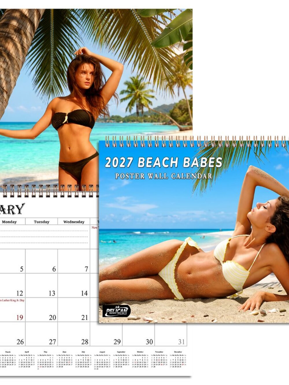 2027 Wall Calendar Beach Babes Bikini Women Models - 12 Months Desktop (11x17)